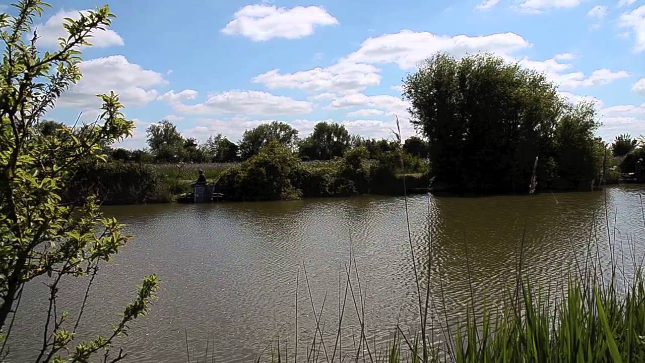 Pawlett, Somerset Pawlett, Somerset