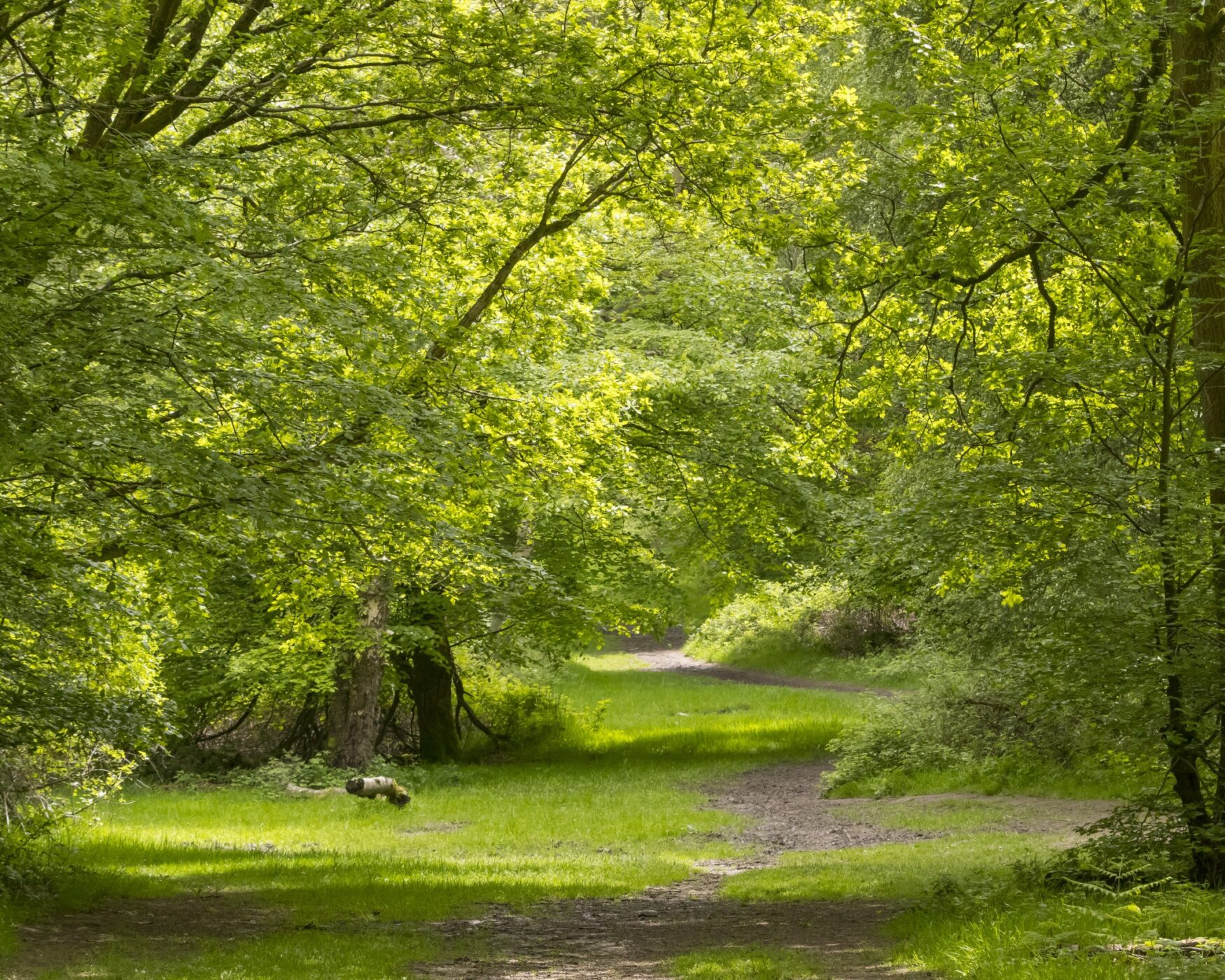 Fairlands, Hertfordshire Fairlands, Hertfordshire