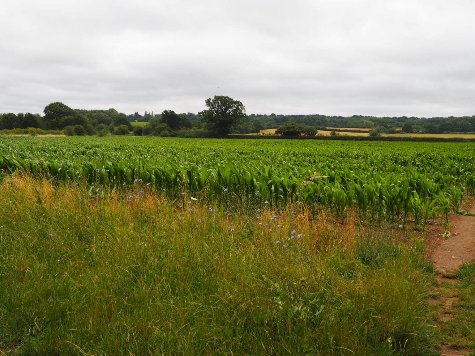 Stanford Dingley, Berkshire